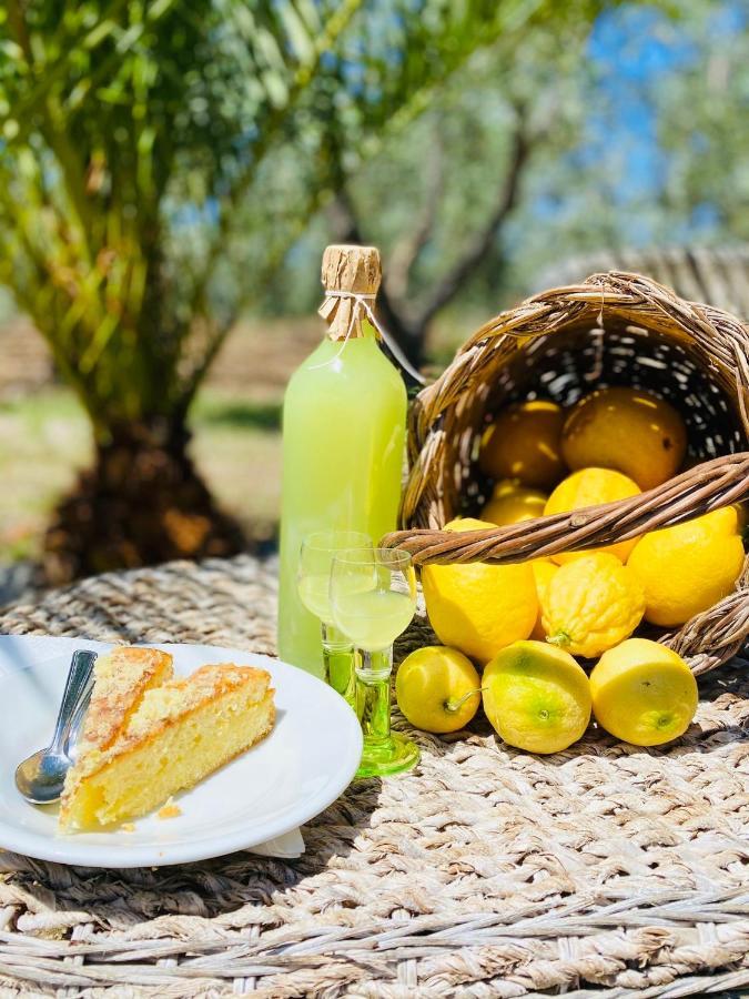 ויאסטה Agriturismo Azzarone מראה חיצוני תמונה