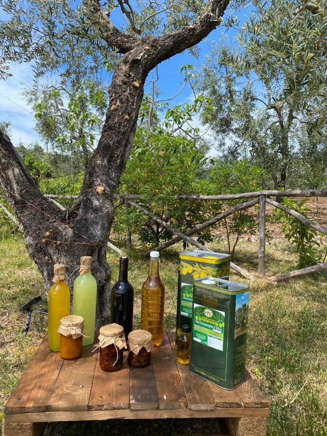 ויאסטה Agriturismo Azzarone מראה חיצוני תמונה