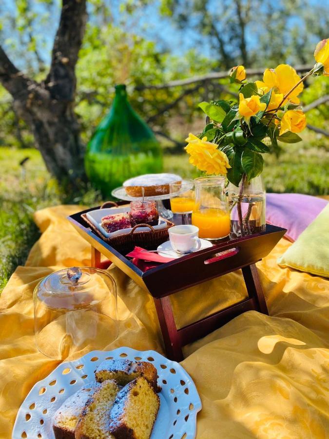 ויאסטה Agriturismo Azzarone מראה חיצוני תמונה